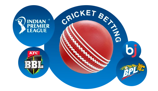 Baji Cricket Betting Options