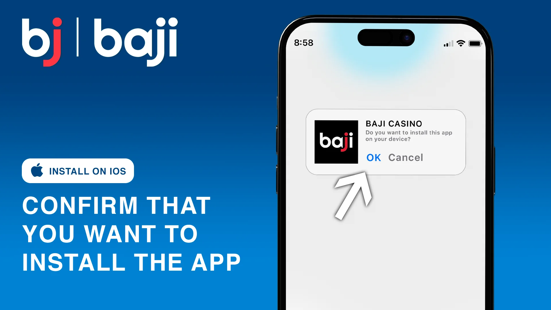 Confirm that you want to install this app - Baji iOS
