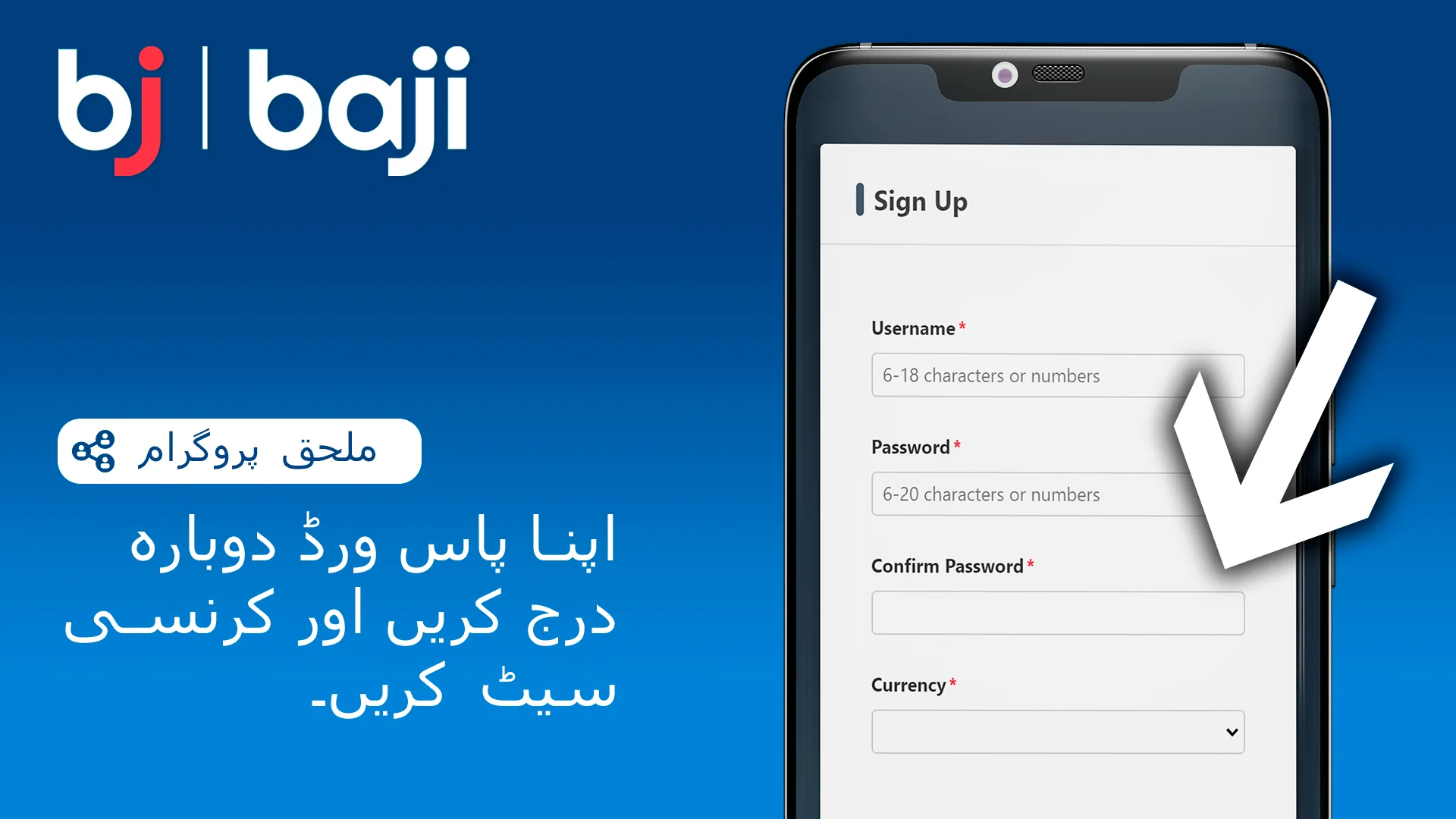 اپنا پاس ورڈ دوبارہ درج کریں اور ترجیحی کرنسی سیٹ کریں - Baji Casino Affiliates