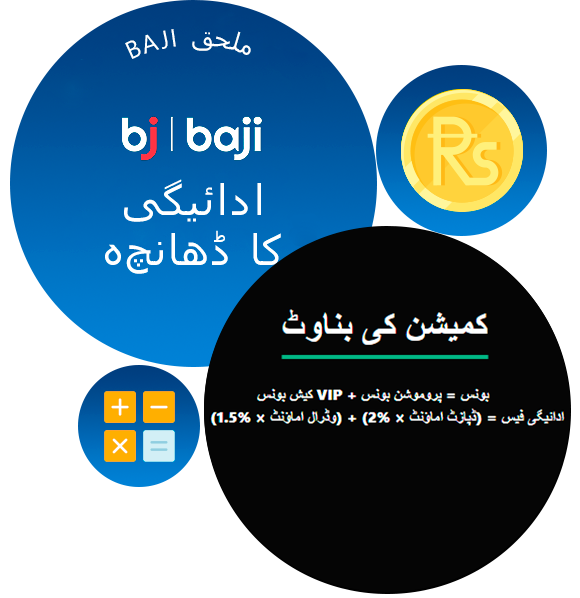 Baji ملحق ادائیگی کا ڈھانچہ