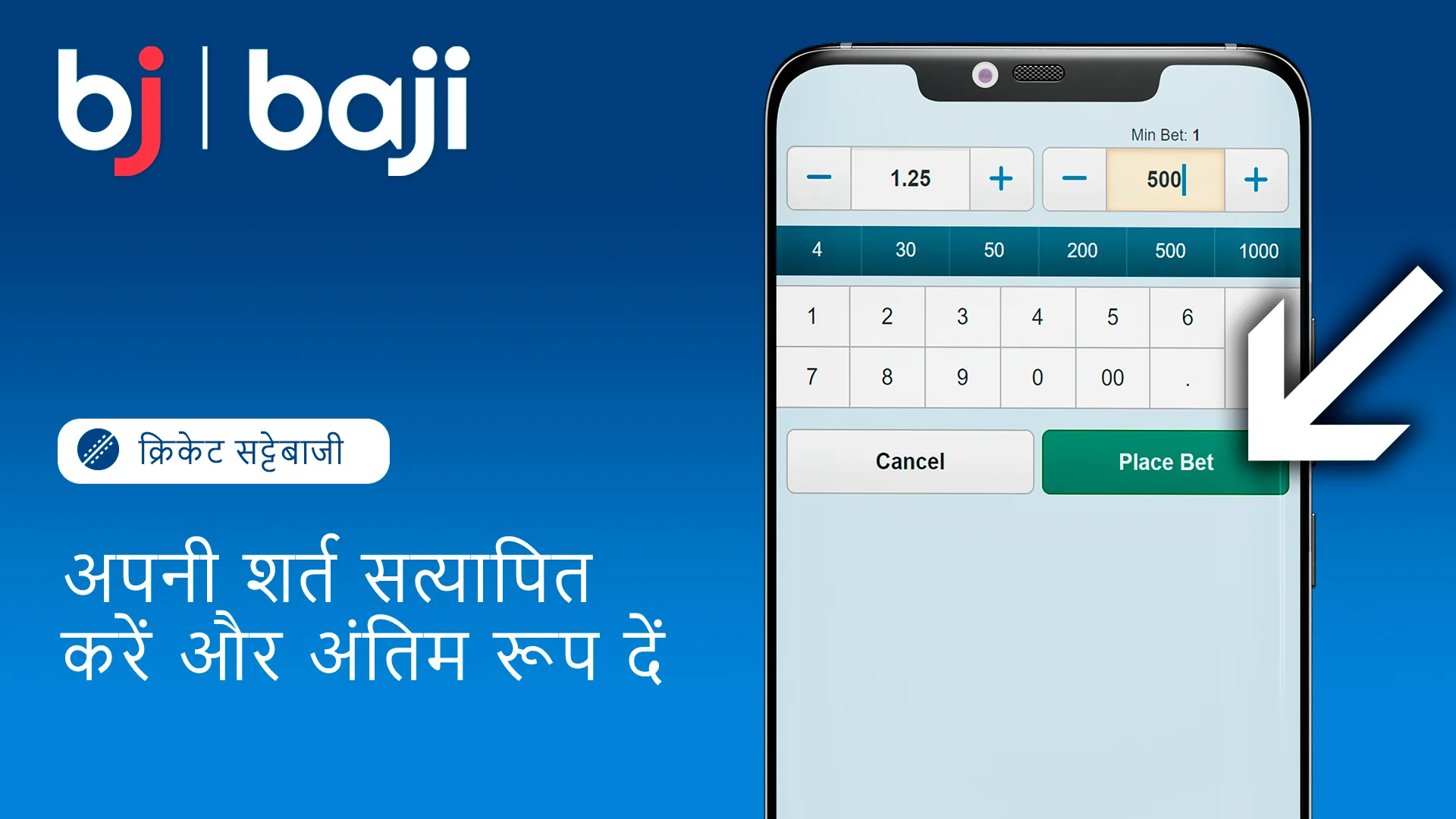 दांव को सत्यापित करें और क्रिकेट सट्टेबाजी को अंतिम रूप दें - Baji इंडिया